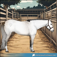 Horse Color:Gray Buckskin Roan Tobiano 