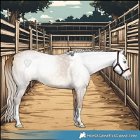 Horse Color:Gray Perlino Tobiano 