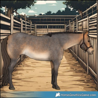 Horse Color:Buckskin Roan Sabino