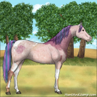 Horse Color:Painted Red Ice Roan  and Painted Watercolor Buckskin Ice Tobiano 