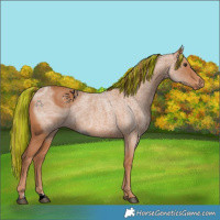 Horse Color:ERROR: UNKNOWN ANOMALY