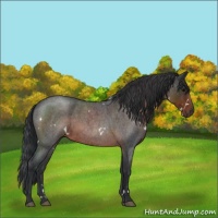 Horse Color:White Spotted Brown Roan 