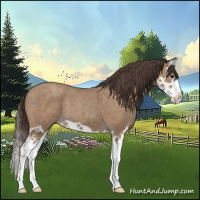 Horse Color:Classic Champagne Splash 