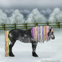 Horse Color:Painted White Spotted Silver Brown Chinchilla Ice Sabino 