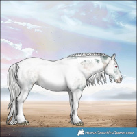 Horse Color:Watercolor White Spotted Silver Brown Chinchilla Ice Onyx Tobiano