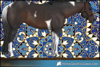 Horse Color:Brown Tobiano 