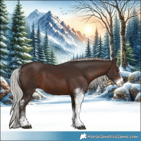 Horse Color:Silver Brown Sabino Rabicano 