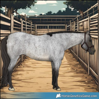 Horse Color:Buckskin Roan 