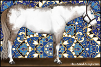 Horse Color:Gray Chocolate Palomino Frame 