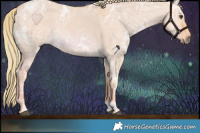 Horse Color:Watercolor Red Dun Ice 