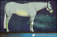 Horse Color:Watercolor Red Dun Tobiano