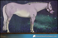 Horse Color:Watercolor Chocolate Palomino Dun 