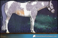 Horse Color:Watercolor Chestnut Ice Tobiano 