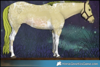 Horse Color:Watercolor Red Dun Ice Tobiano 