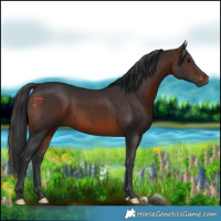Horse Color:Brown 