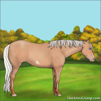 Horse Color:Silver Amber Champagne Frame 