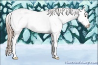 Horse Color:Liver Chestnut Sabino Splash Appaloosa Rabicano 