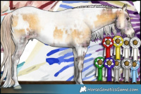 Horse Color:Plaid White Spotted Chocolate Palomino Onyx Rabicano