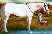Horse Color:White Spotted Liver Chestnut Pearl 