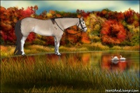 Horse Color:White Spotted Liver Red Dun Rabicano 