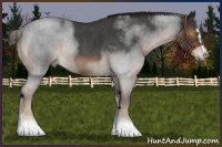 Horse Color:Liver Red Roan Sabino Rabicano