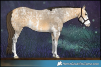 Horse Color:Buckskin Ice Sabino 