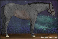 Horse Color:Brown Ice 