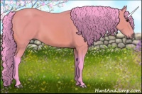 Horse Color:Watercolor Bay 