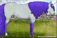 Horse Color:Watercolor Buckskin 