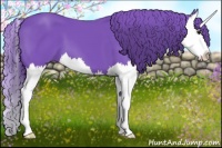 Horse Color:Watercolor Smoky Black Splash 