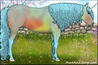 Horse Color:Watercolor Bay 