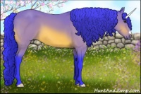 Horse Color:Watercolor Bay 