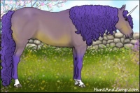 Horse Color:Watercolor Bay 