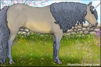 Horse Color:Watercolor Bay Roan 