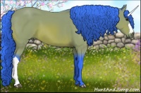 Horse Color:Watercolor Bay 