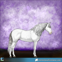 Horse Color:Brown Ice Sabino Appaloosa 