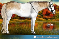 Horse Color:White Spotted Chocolate Palomino Dun Rabicano Brindle 