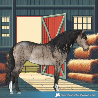 Horse Color:Brown Dun Brindle 