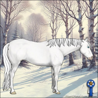Horse Color:Silver Perlino Roan 