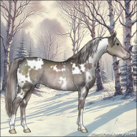 Horse Color:Platinum White Spotted Liver Chestnut Rabicano 