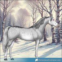 Horse Color:White Spotted Silver Grullo Chinchilla 