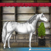 Horse Color:White Spotted Silver Black Chinchilla Ice