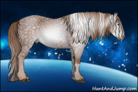 Horse Color:Gray Chestnut