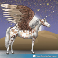 Horse Color:Silver Brown Onyx Appaloosa 