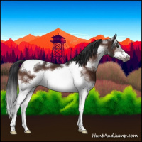 Horse Color:White Spotted Brown Tobiano Frame 