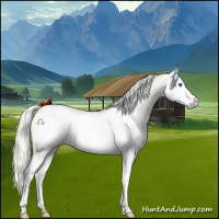 Horse Color:White Spotted Palomino Pearl Dun Splash Appaloosa 
