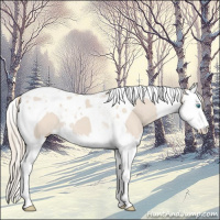 Horse Color:Smoky Creme Splash Tobiano 