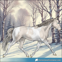 Horse Color:Smoky Creme Roan Tobiano 