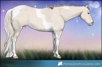 Horse Color:Smoky Creme Roan Tobiano