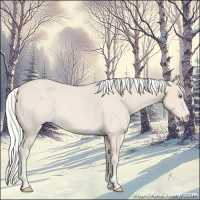 Horse Color:Silver Smoky Creme Roan 